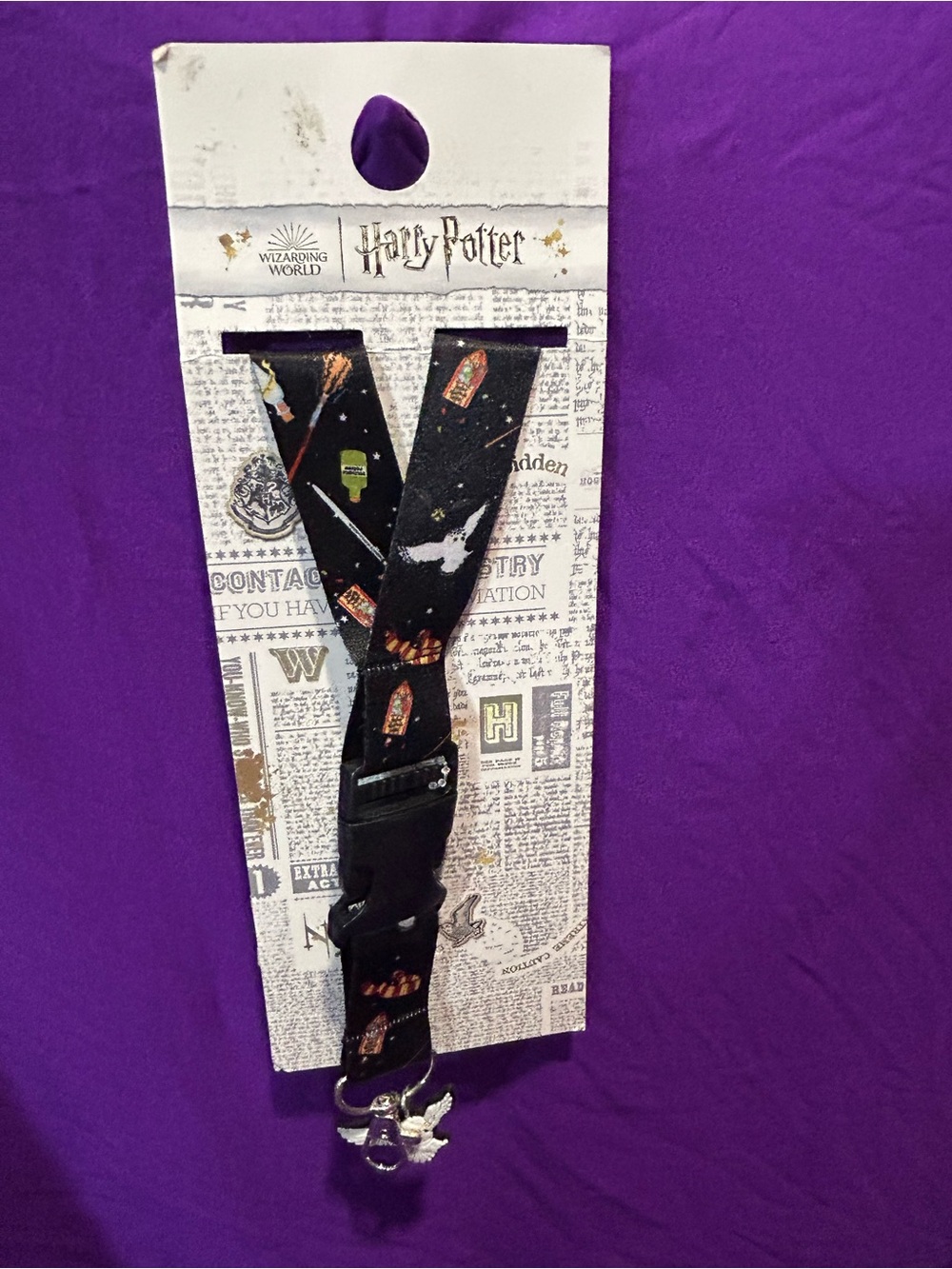Harry Potter Unisex Wizard Ding World Lanyard with Charm